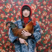 东北乡景女人怀抱公鸡