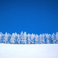 微信头像唯美雪景