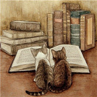 可爱猫咪看书头像