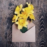 装在信封里的花创意头像