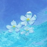 漂在水面上的花朵头像
