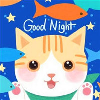 卡通猫咪说晚安