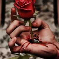 玫瑰刺手流血头像